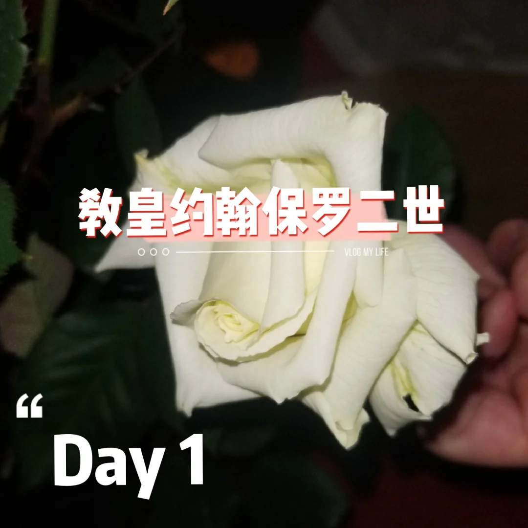 九游游戏-葡萄南果-辽楚保罗，近乎完美的热身赛的简单介绍