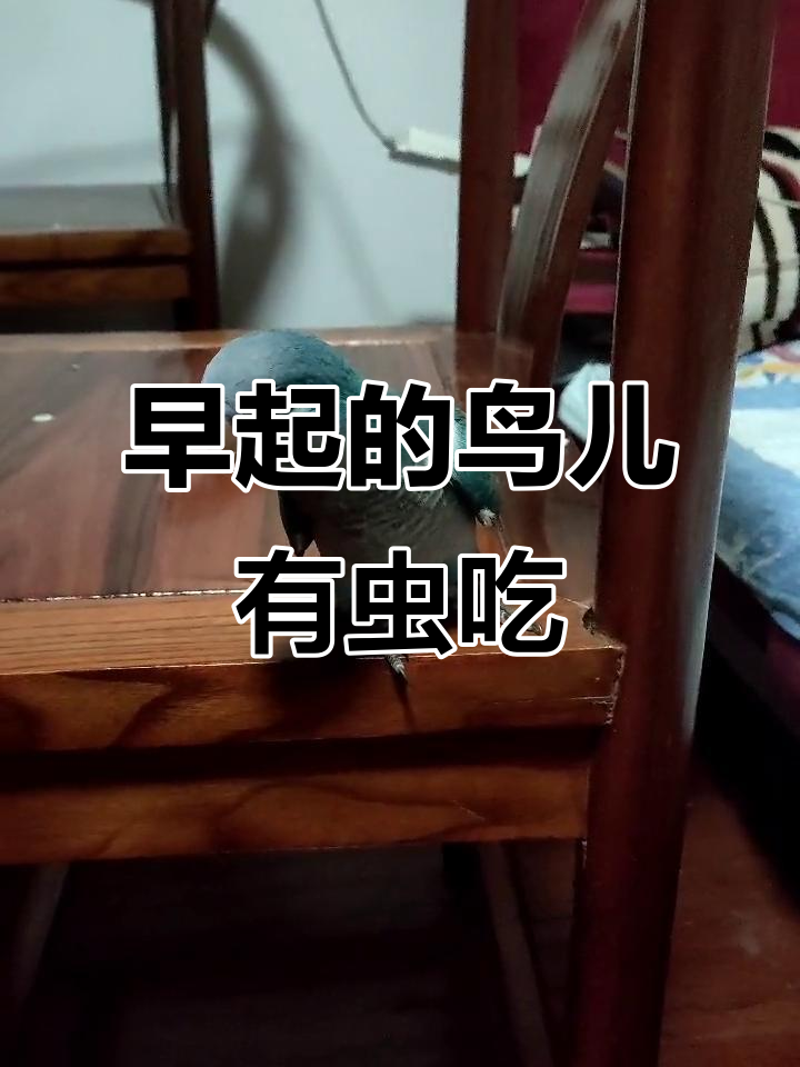 九游娱乐-谁能笑到最后?强强对决悬念重重的简单介绍