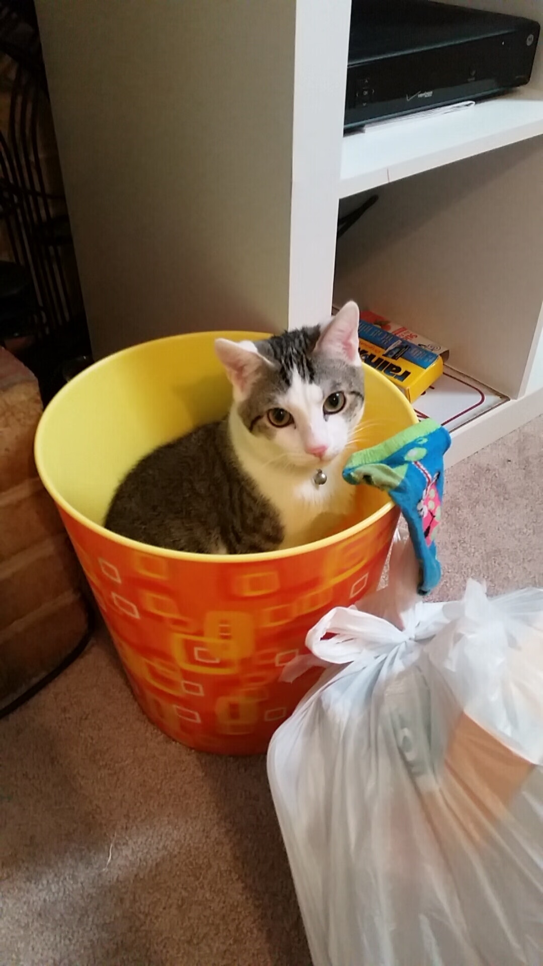 九游娱乐网站-孙兴慜用实力证明自己，利物浦火力压制塞内加尔