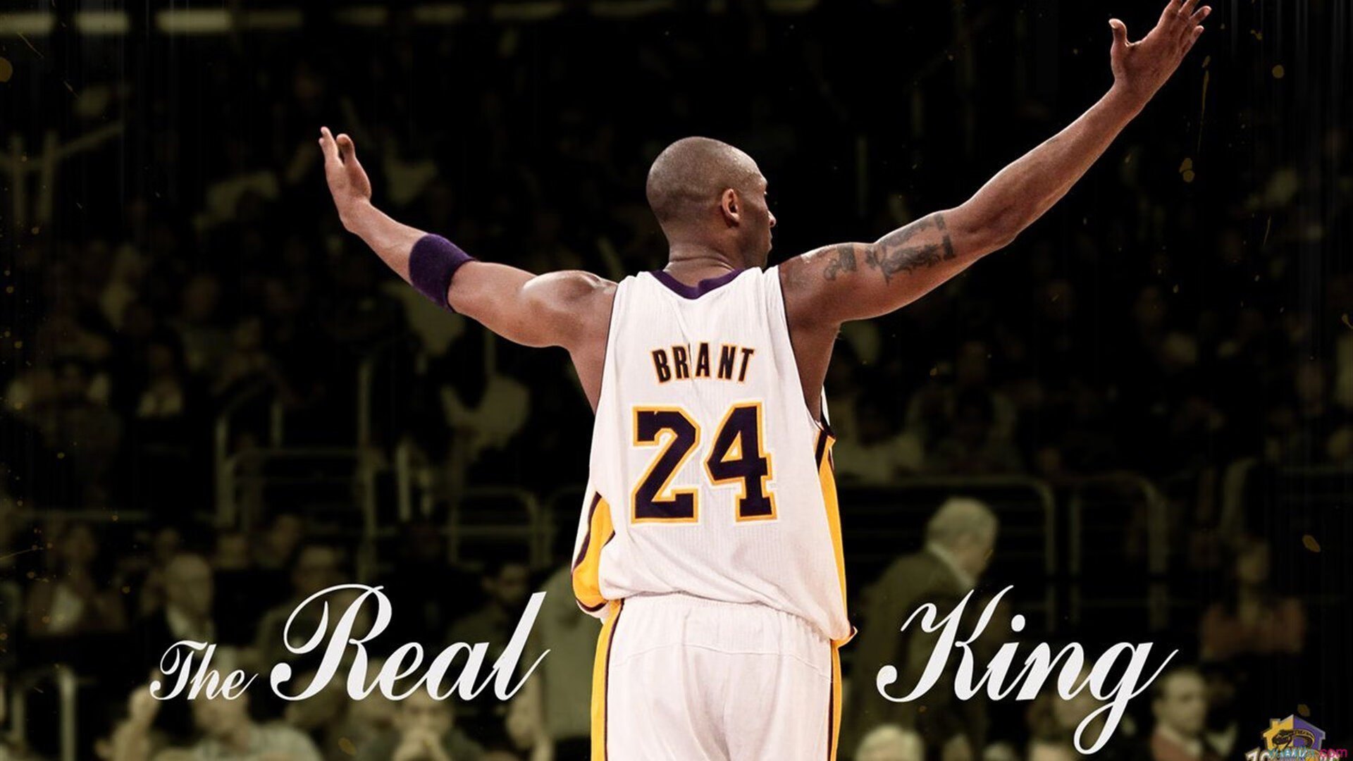 九游体育直播-非洲风暴撼动巴斯克—钢铁门神拉亚如何扼住喀麦隆式强压的咽喉