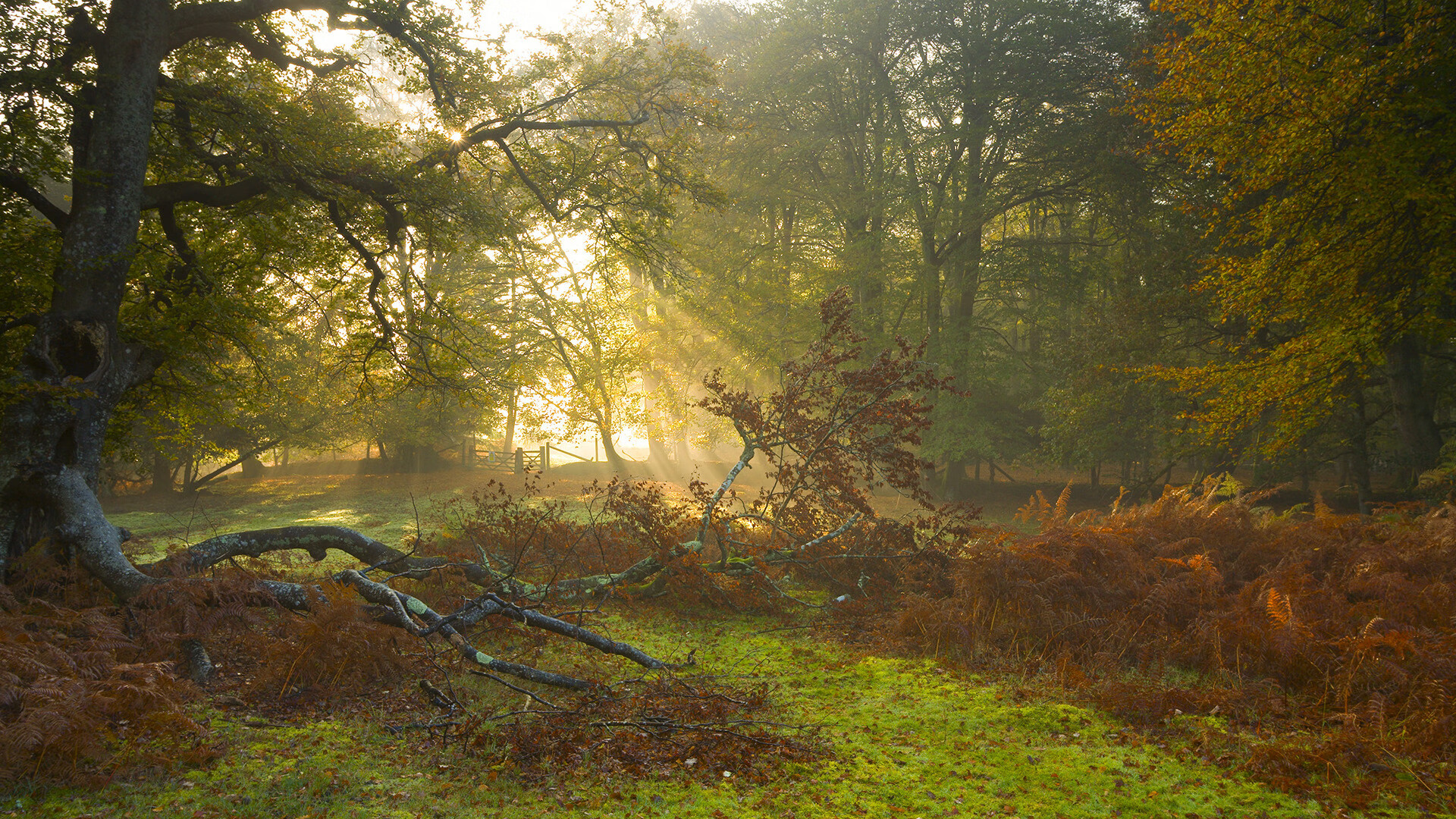 九游APP-绝对掌控